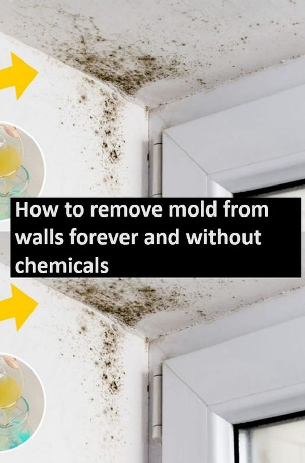 How to Remove Mold from Walls Forever and Without Chemicals