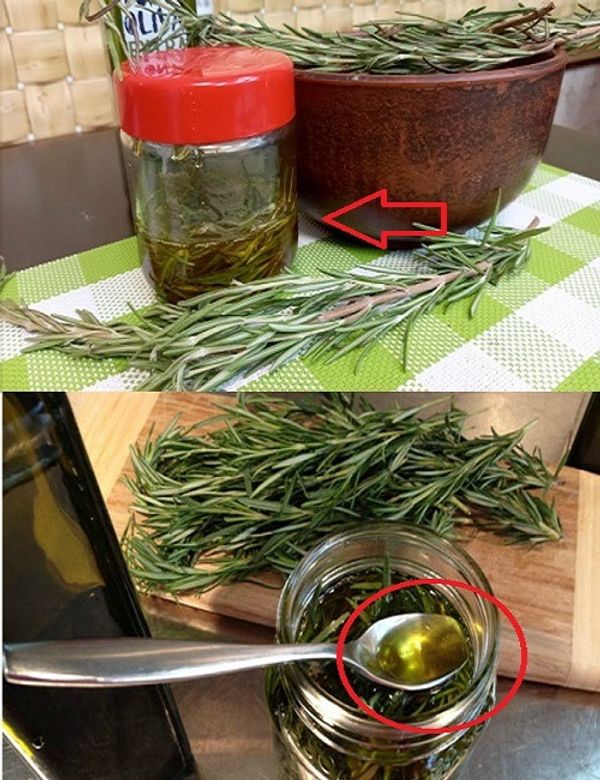 The Amazing Health Benefits of Rosemary Oil