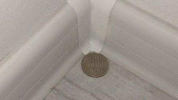What Happens When You Place a Coin in the Corner of Your Room? Miraculous Effects in Just One Week