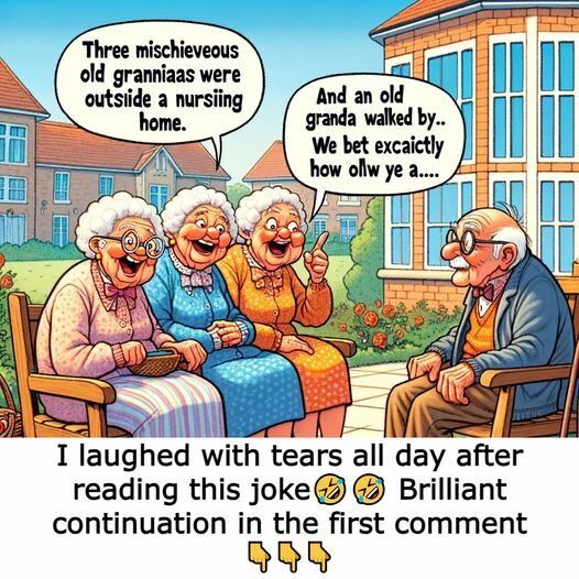 Three Mischievous Grannies at the Nursing Home