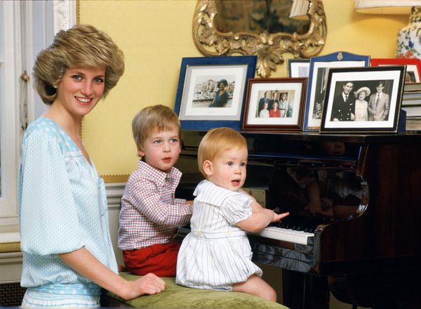 Prince William, Princess Diana, and Prince Harry